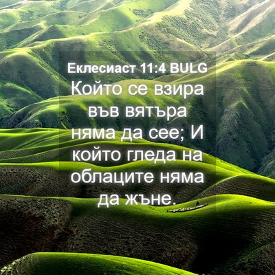 Picture 04 - Еклесиаст 11:4 BULG - Който се взира във вятъра - Bible Verse Picture