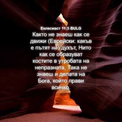Picture 04 - Еклесиаст 11:5 BULG - Както не знаеш как се движи - Bible Verse Picture