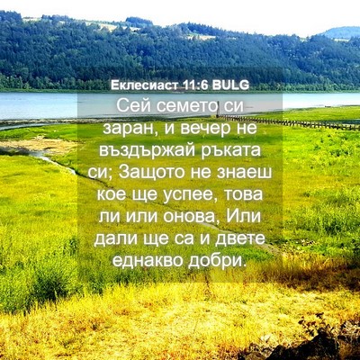 Picture 04 - Еклесиаст 11:6 BULG - Сей семето си заран, и - Bible Verse Picture