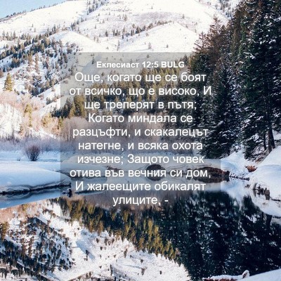 Picture 04 - Еклесиаст 12:5 BULG - Още, когато ще се боят от - Bible Verse Picture