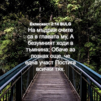 Picture 04 - Еклесиаст 2:14 BULG - На мъдрия очите са в - Bible Verse Picture