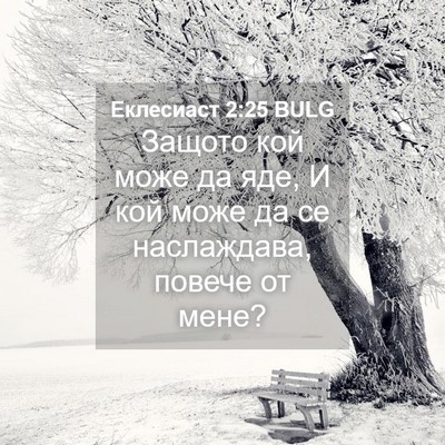 Picture 04 - Еклесиаст 2:25 BULG - Защото кой може да яде, И - Bible Verse Picture