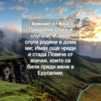 Picture 04 - Еклесиаст 2:7 BULG - Придобих слуги и слугини, И - Bible Verse Picture