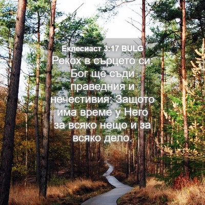 Picture 04 - Еклесиаст 3:17 BULG - Рекох в сърцето си: Бог ще - Bible Verse Picture