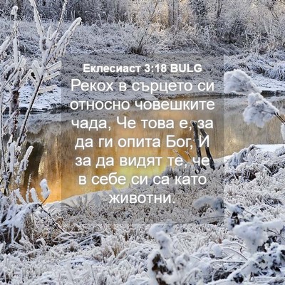Picture 04 - Еклесиаст 3:18 BULG - Рекох в сърцето си относно - Bible Verse Picture