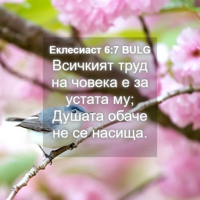 Picture 04 - Еклесиаст 6:7 BULG - Всичкият труд на човека е - Bible Verse Picture