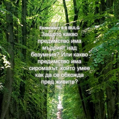 Picture 04 - Еклесиаст 6:8 BULG - Защото какво предимство - Bible Verse Picture