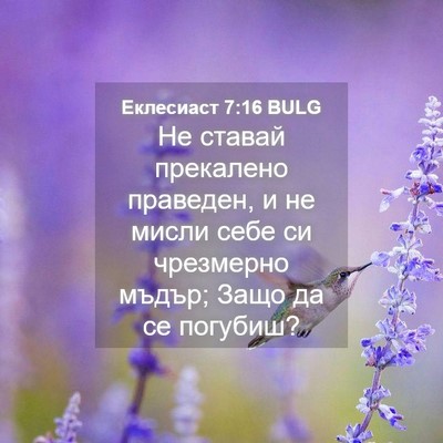 Picture 04 - Еклесиаст 7:16 BULG - Не ставай прекалено - Bible Verse Picture