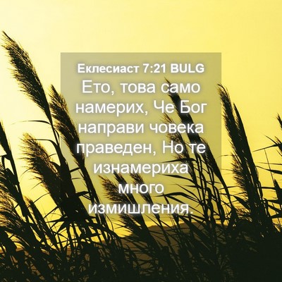 Picture 04 - Еклесиаст 7:21 BULG - Ето, това само намерих, Че - Bible Verse Picture