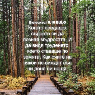Picture 04 - Еклесиаст 8:16 BULG - Когато предадох сърцето си - Bible Verse Picture