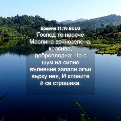 Picture 04 - Еремия 11:16 BULG - Господ те нарече Маслина - Bible Verse Picture