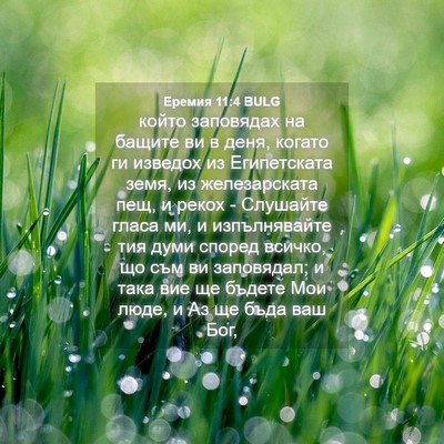 Picture 04 - Еремия 11:4 BULG - който заповядах на бащите - Bible Verse Picture