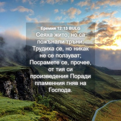 Picture 04 - Еремия 12:13 BULG - Сеяха жито, но са пожънали - Bible Verse Picture