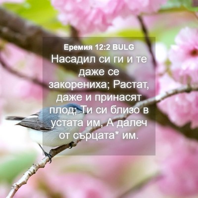 Picture 04 - Еремия 12:2 BULG - Насадил си ги и те даже се - Bible Verse Picture