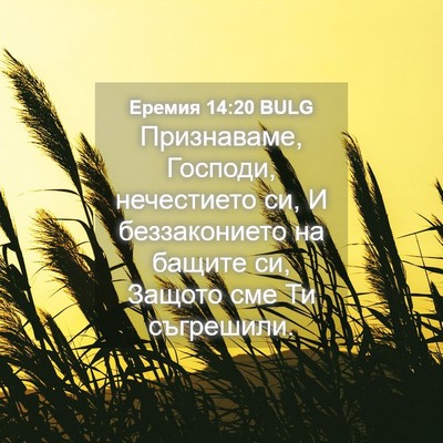 Picture 04 - Еремия 14:20 BULG - Признаваме, Господи, - Bible Verse Picture