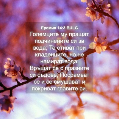 Picture 04 - Еремия 14:3 BULG - Големците му пращат - Bible Verse Picture