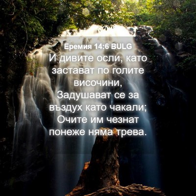 Picture 04 - Еремия 14:6 BULG - И дивите осли, като - Bible Verse Picture