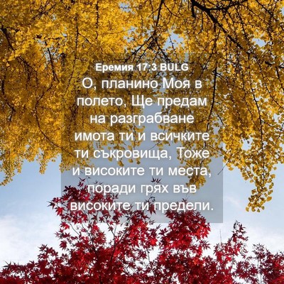 Picture 04 - Еремия 17:3 BULG - О, планино Моя в полето, Ще - Bible Verse Picture