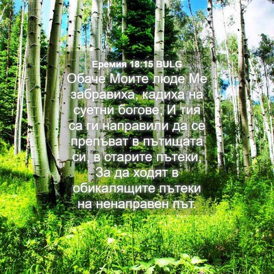 Picture 04 - Еремия 18:15 BULG - Обаче Моите люде Ме - Bible Verse Picture