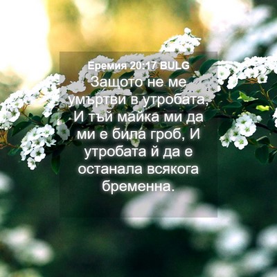 Picture 04 - Еремия 20:17 BULG - Защото не ме умъртви в - Bible Verse Picture
