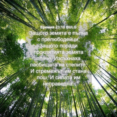 Picture 04 - Еремия 23:10 BULG - Защото земята е пълна с - Bible Verse Picture