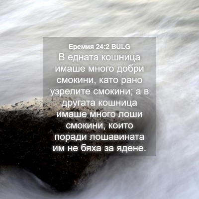 Picture 04 - Еремия 24:2 BULG - В едната кошница имаше - Bible Verse Picture