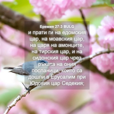 Picture 04 - Еремия 27:3 BULG - и прати ги на едомския цар, - Bible Verse Picture