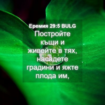 Picture 04 - Еремия 29:5 BULG - Постройте къщи и живейте в - Bible Verse Picture