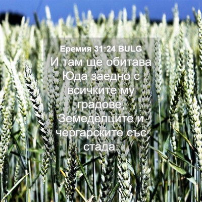 Picture 04 - Еремия 31:24 BULG - И там ще обитава Юда заедно - Bible Verse Picture