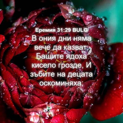 Picture 04 - Еремия 31:29 BULG - В ония дни няма вече да - Bible Verse Picture
