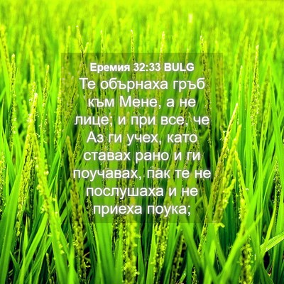 Picture 04 - Еремия 32:33 BULG - Те обърнаха гръб към Мене, - Bible Verse Picture
