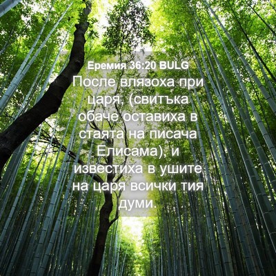 Picture 04 - Еремия 36:20 BULG - После влязоха при царя, - Bible Verse Picture