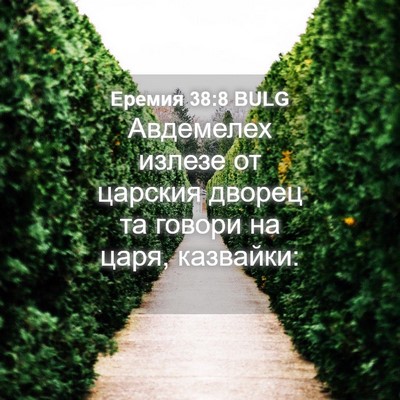 Picture 04 - Еремия 38:8 BULG - Авдемелех излезе от - Bible Verse Picture