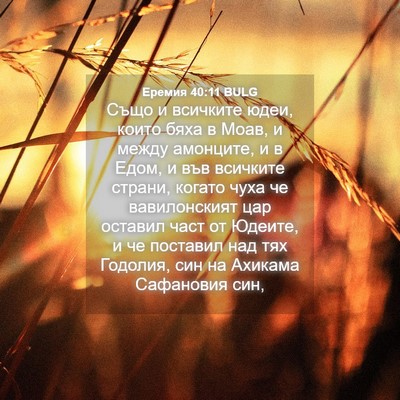 Picture 04 - Еремия 40:11 BULG - Също и всичките юдеи, които - Bible Verse Picture