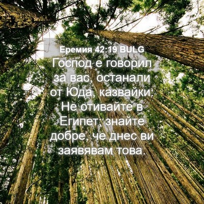 Picture 04 - Еремия 42:19 BULG - Господ е говорил за вас, - Bible Verse Picture