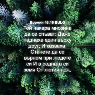 Picture 04 - Еремия 46:16 BULG - Той накара мнозина да се - Bible Verse Picture