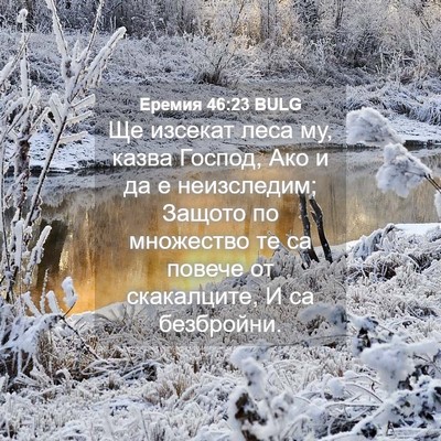 Picture 04 - Еремия 46:23 BULG - Ще изсекат леса му, казва - Bible Verse Picture