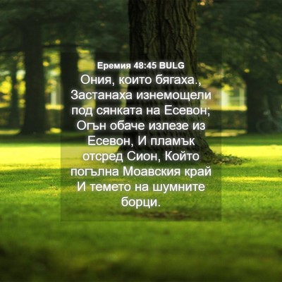 Picture 04 - Еремия 48:45 BULG - Ония, които бягаха., - Bible Verse Picture