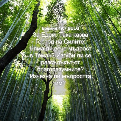 Picture 04 - Еремия 49:7 BULG - За Едом. Така казва Господ - Bible Verse Picture