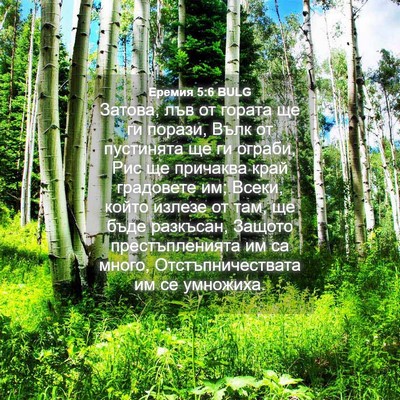 Picture 04 - Еремия 5:6 BULG - Затова, лъв от гората ще ги - Bible Verse Picture