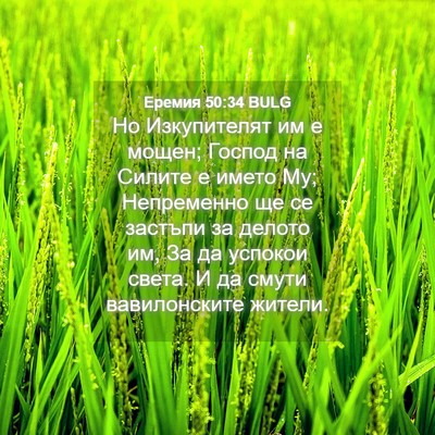 Picture 04 - Еремия 50:34 BULG - Но Изкупителят им е мощен; - Bible Verse Picture