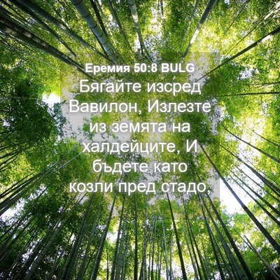 Picture 04 - Еремия 50:8 BULG - Бягайте изсред Вавилон, - Bible Verse Picture