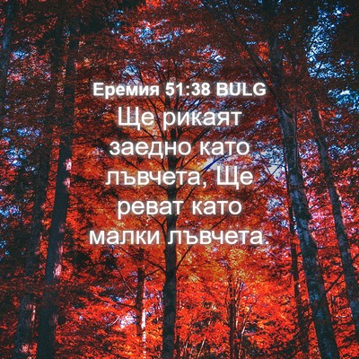 Picture 04 - Еремия 51:38 BULG - Ще рикаят заедно като - Bible Verse Picture