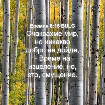 Picture 04 - Еремия 8:15 BULG - Очаквахме мир, но никакво - Bible Verse Picture