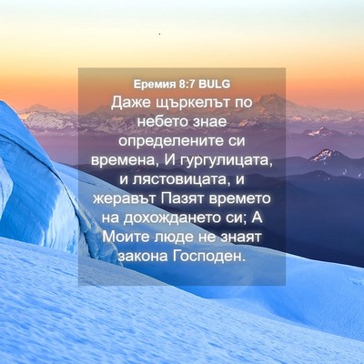 Picture 04 - Еремия 8:7 BULG - Даже щъркелът по небето - Bible Verse Picture