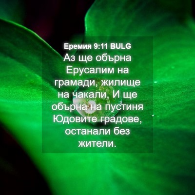 Picture 04 - Еремия 9:11 BULG - Аз ще обърна Ерусалим на - Bible Verse Picture