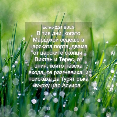 Picture 04 - Естир 2:21 BULG - В тия дни, когато Мардохей - Bible Verse Picture