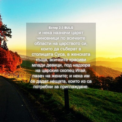 Picture 04 - Естир 2:3 BULG - и нека назначи царят - Bible Verse Picture