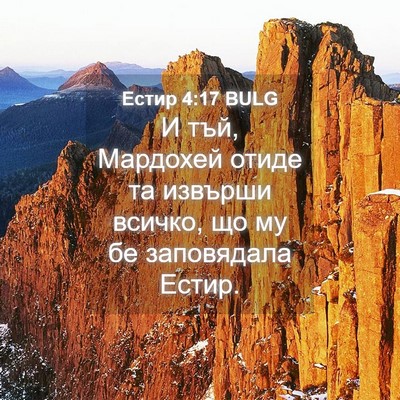Picture 04 - Естир 4:17 BULG - И тъй, Мардохей отиде та - Bible Verse Picture