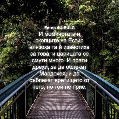 Picture 04 - Естир 4:4 BULG - И момичетата и скопците на - Bible Verse Picture